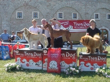Shadrach won BOG, with only 1 year of age, May 2007