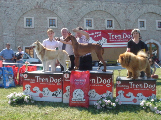 Shadrach won BOG, with only 1 year of age, May 2007