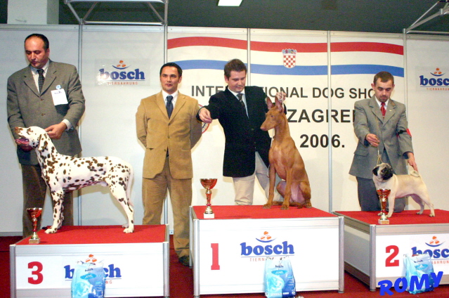 Shadrach's first Show