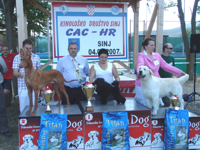 Shadrach won Junior Best in Show and Reserve Best in Show in Croatia
