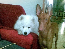 Shadrach & Marlo, March 2007
