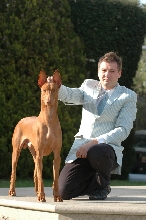 Ch Faouziah's Excellentia Shadrach, November 2007