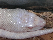 ?2