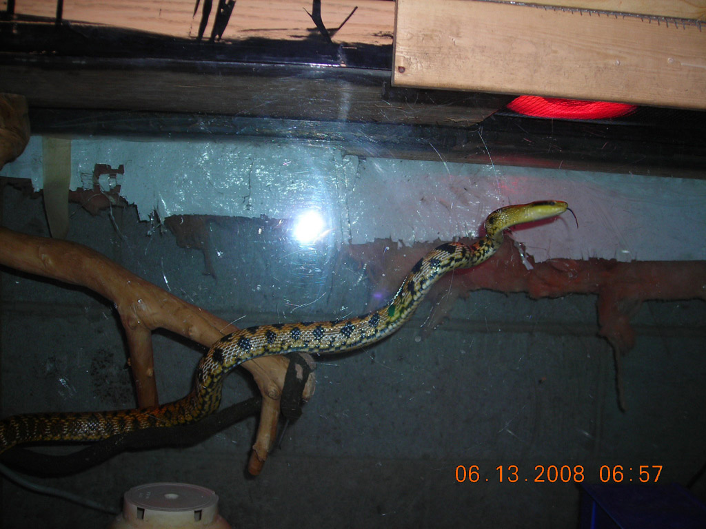 taiwan at 1 yr