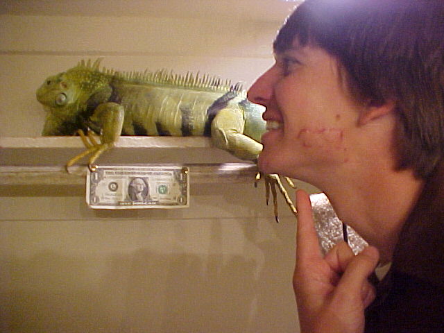 my face is tasty