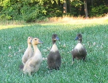 Here We Are, Mom!