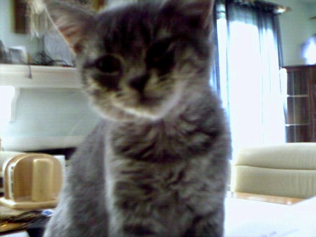 kroocked face