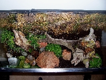 Top view of Woodland setup