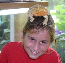 Lizard Girl