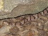 Copperhead 4