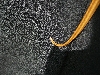 Snake Tail 2