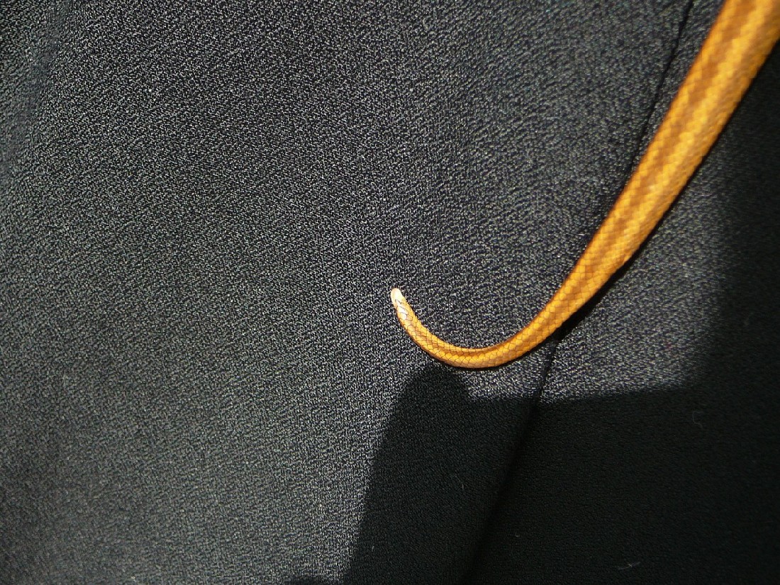 Snake Tail 2