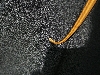 Snake Tail 3