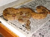 07 Father Linx Ruby Salmon Litter