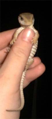 New baby 2