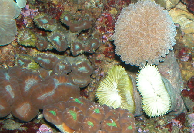 Saltwater Photos