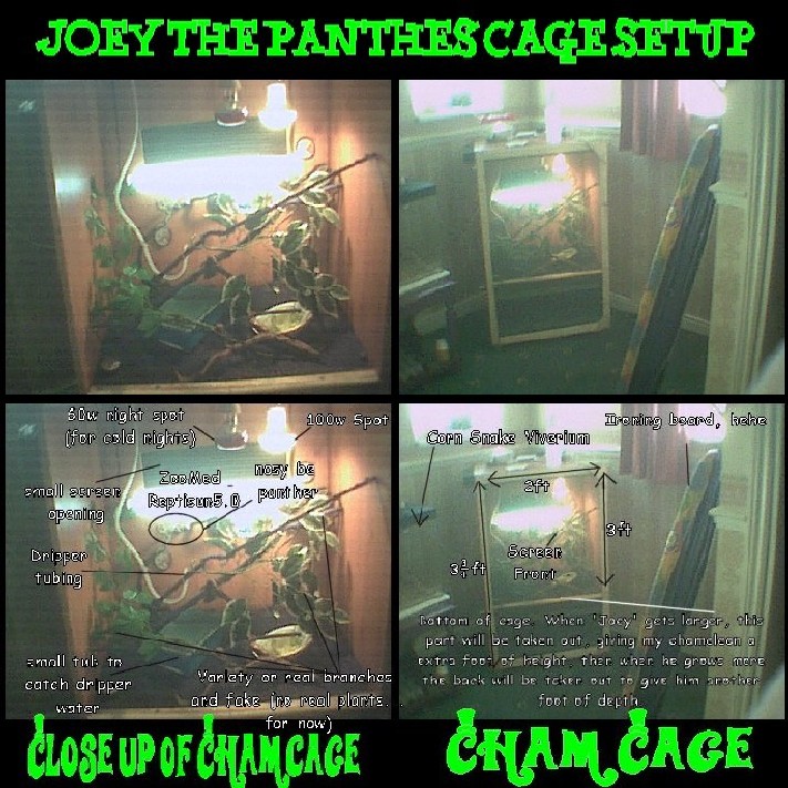Cage