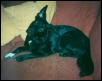 Jaz on sofa