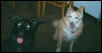 Tebeau and Jazmin