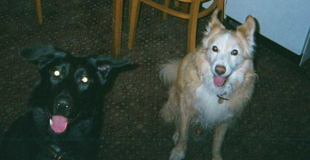 Tebeau and Jazmin