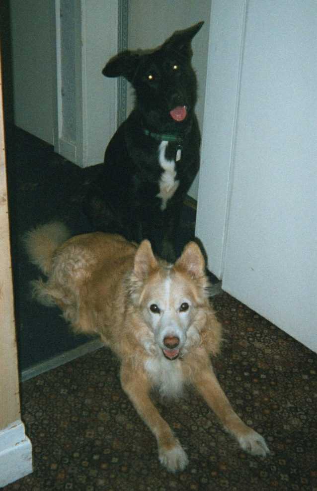 Tebeau and Jaz again