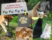 2010 Calendar Cover