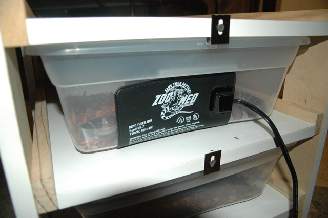 Back view with heat & clip
