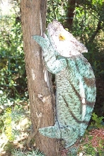 parsoni