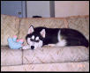 baby picture