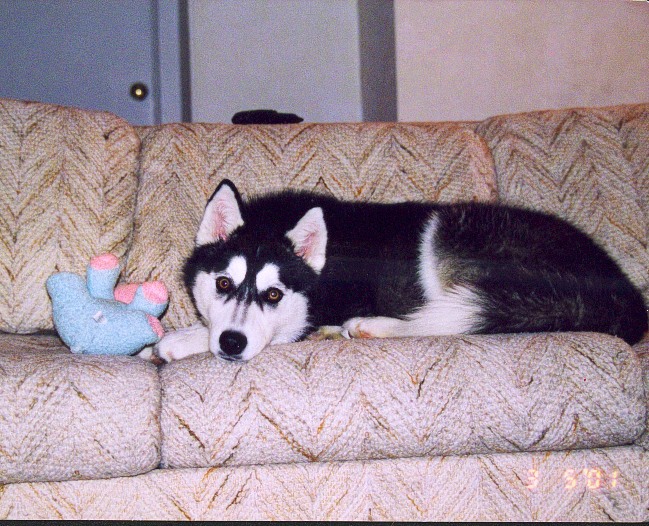 baby picture