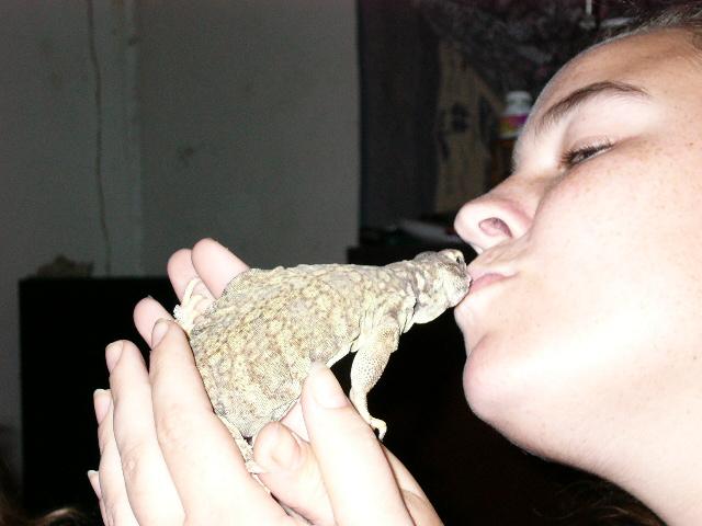 Lizard Kisses