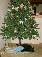 GUTZ The Christmas Kitty