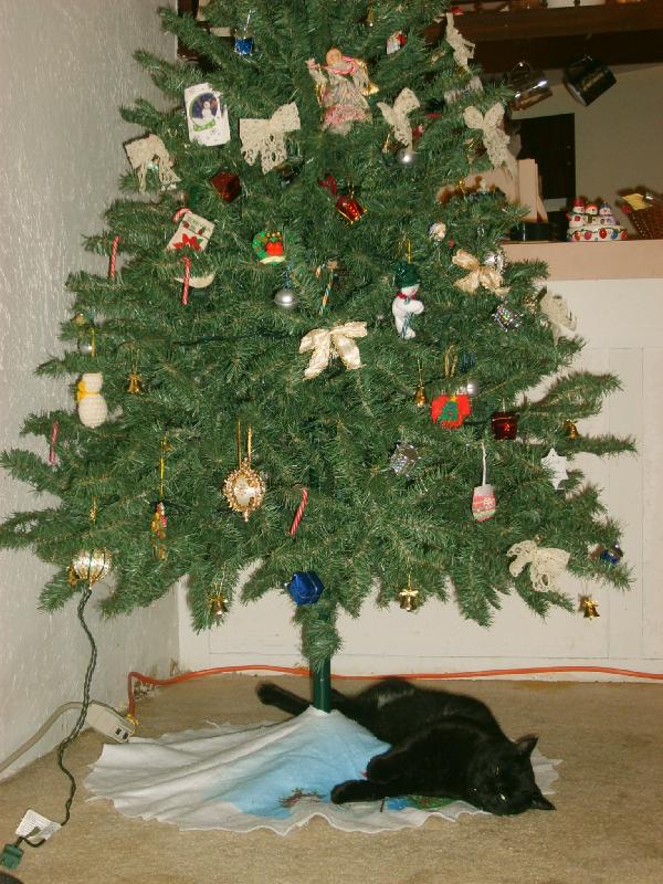 GUTZ The Christmas Kitty