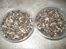 Black Gold