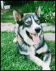 My handsome Juda