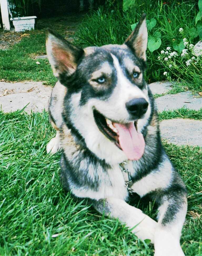 My handsome Juda