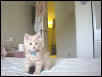 Bobby at 2 1/2 months