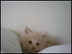 First Pic of Bob