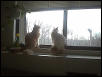 A morning talk