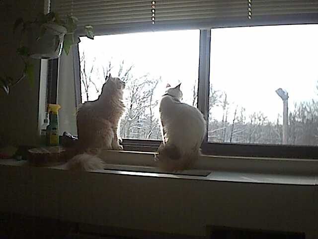 A morning talk