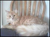 Bob at 11 months