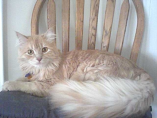 Bob at 11 months