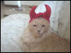 Devilish