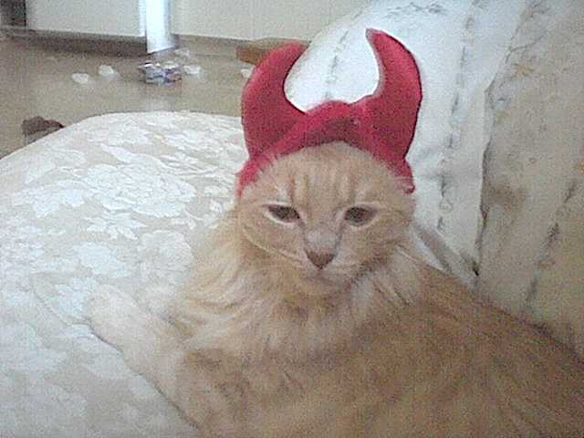 Devilish