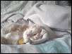 LazyBob