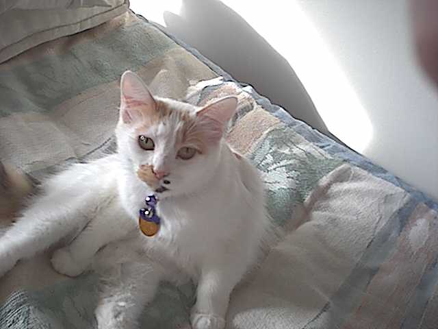 Meet daisy!!