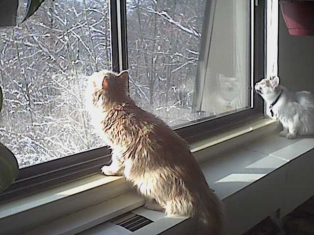 Did you see that?
