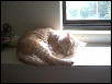 Dozing off