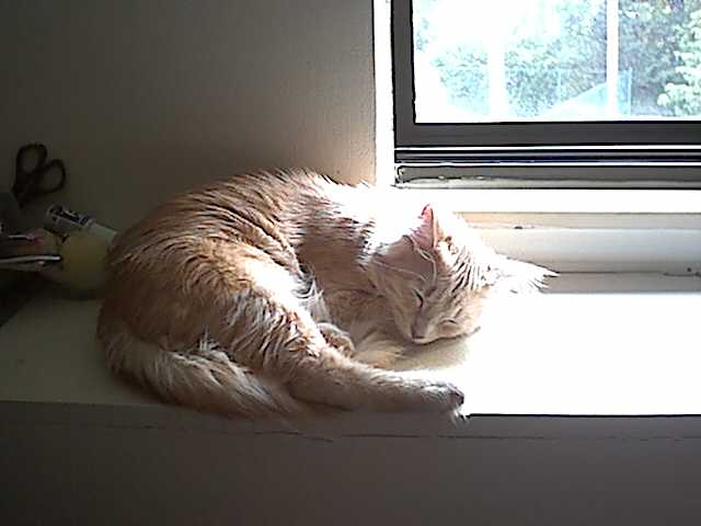 Dozing off
