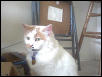 Daisy two months after